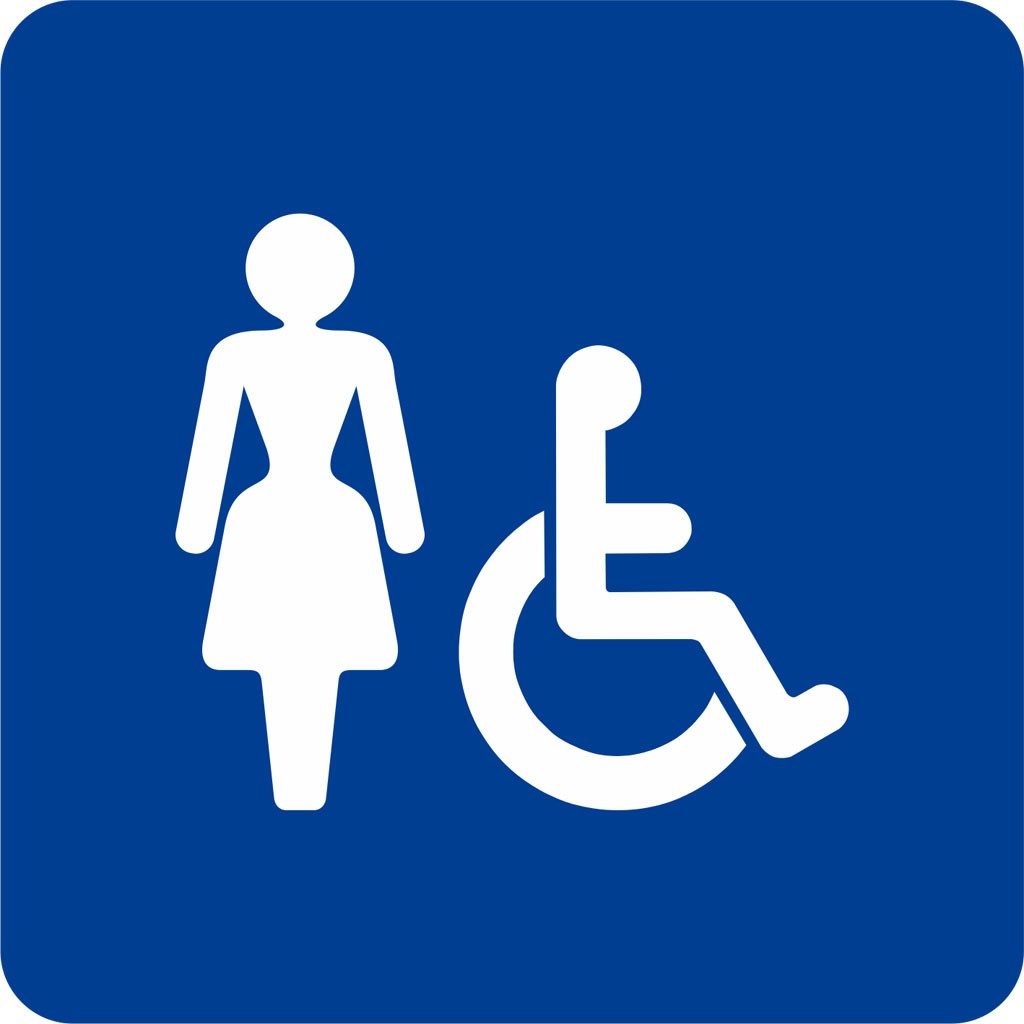 Porte-plaque De Handicap Pour Voiture, Protecteur De Panneau De